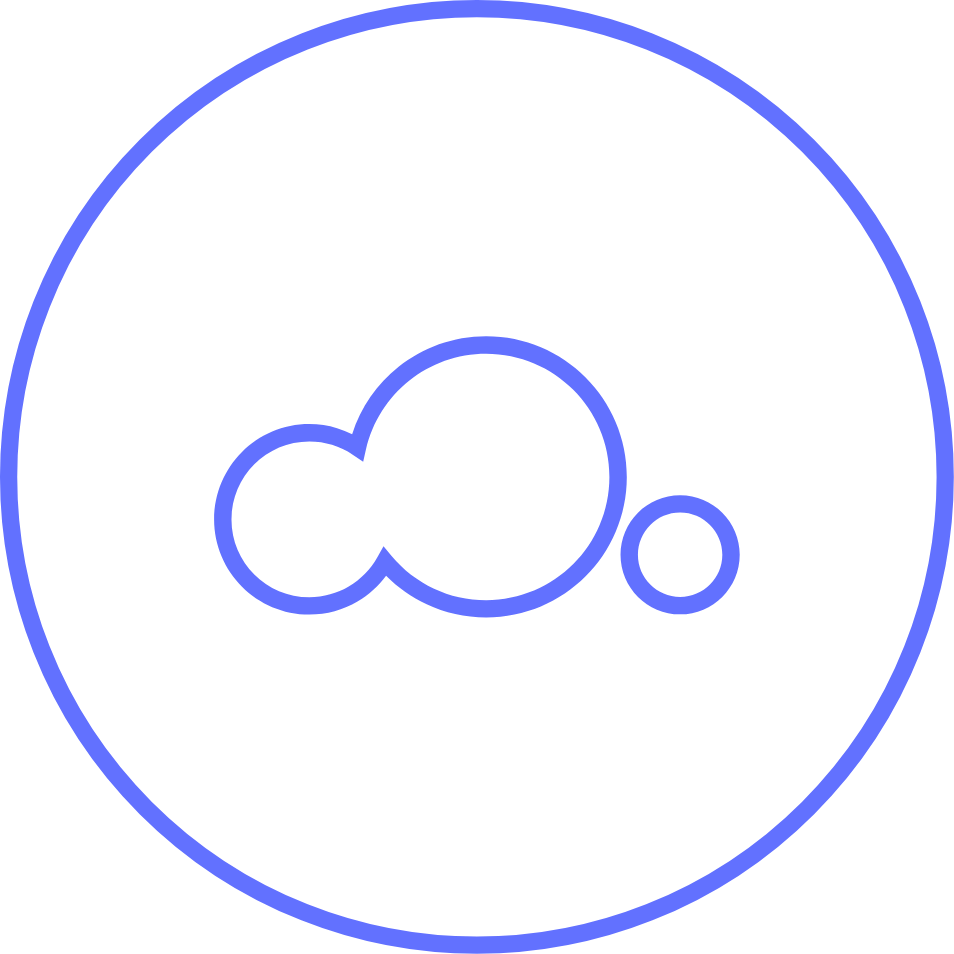 Custom Software Development